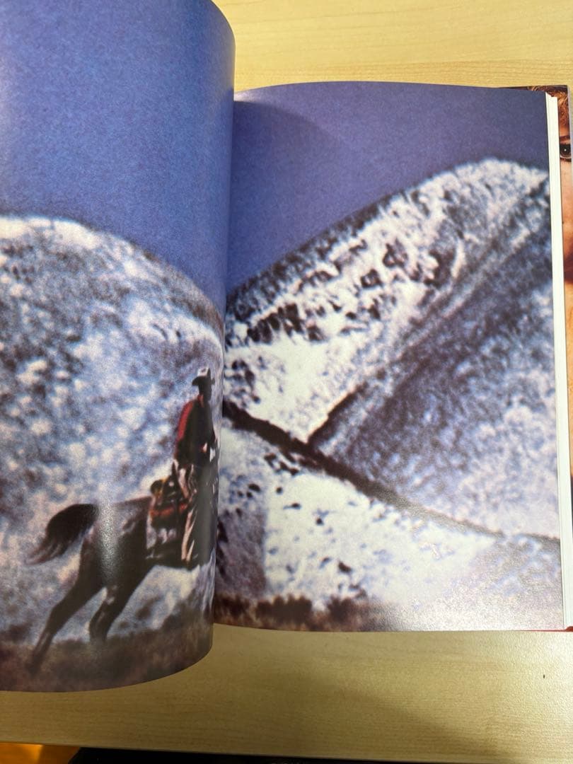 アート・デザイン・音楽 Richard Prince Lisa Phillips