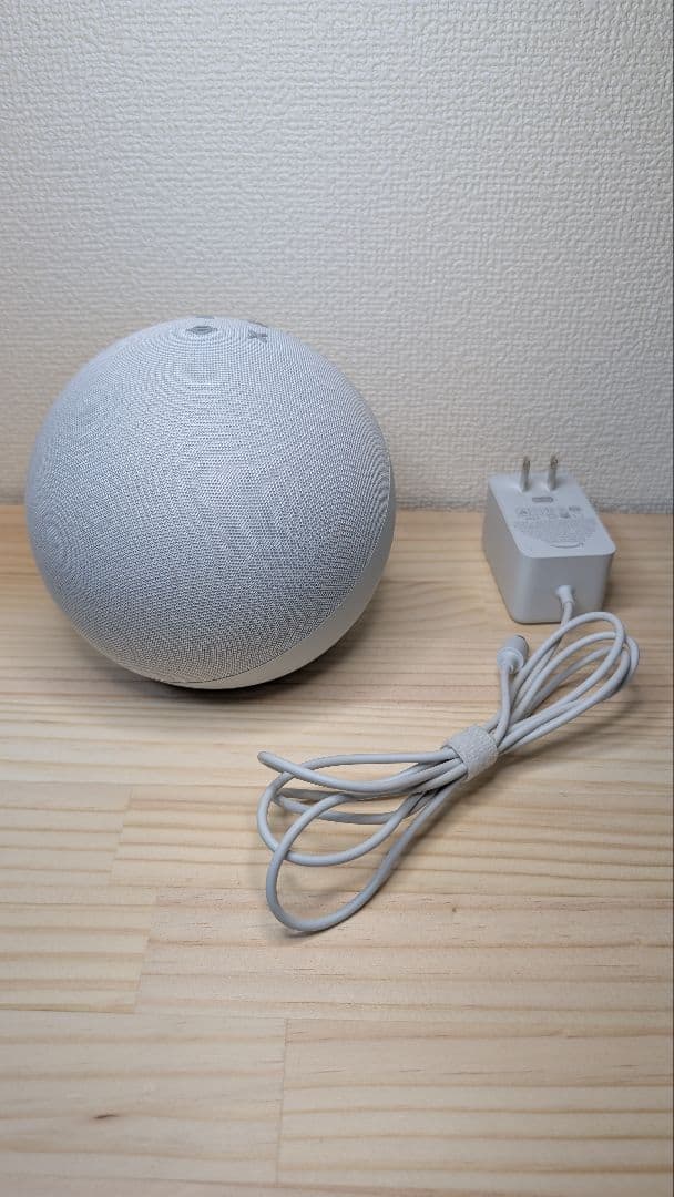 echo 第四世代 グレーシャーホワイト 箱無し