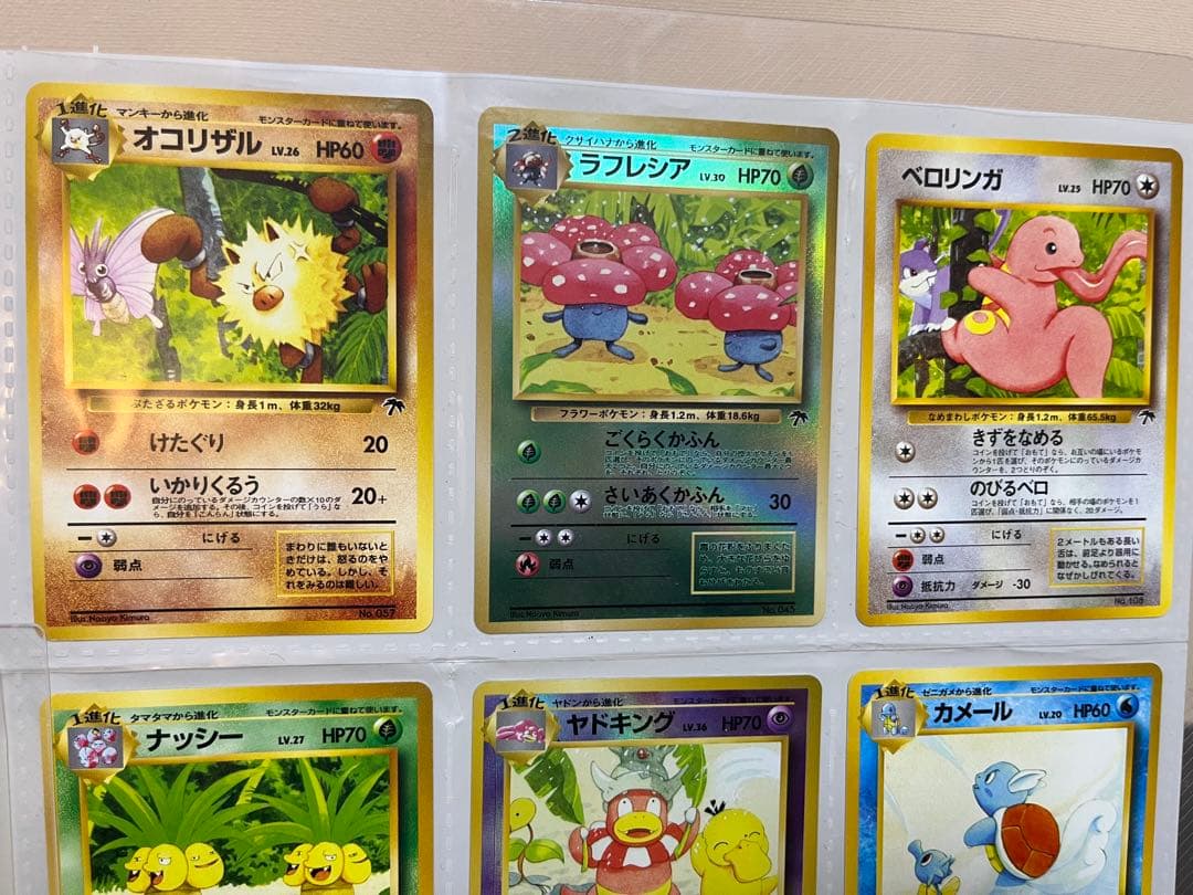 ポケモンカード 旧裏 トロピカルアイランドファイルセット ラフレシア ヤドキング