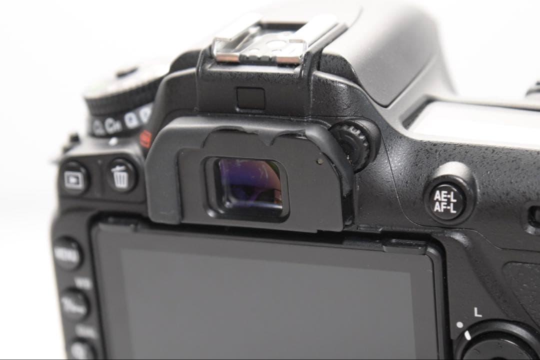 Nikon d7500 ボディのみ シャッター回数29,989