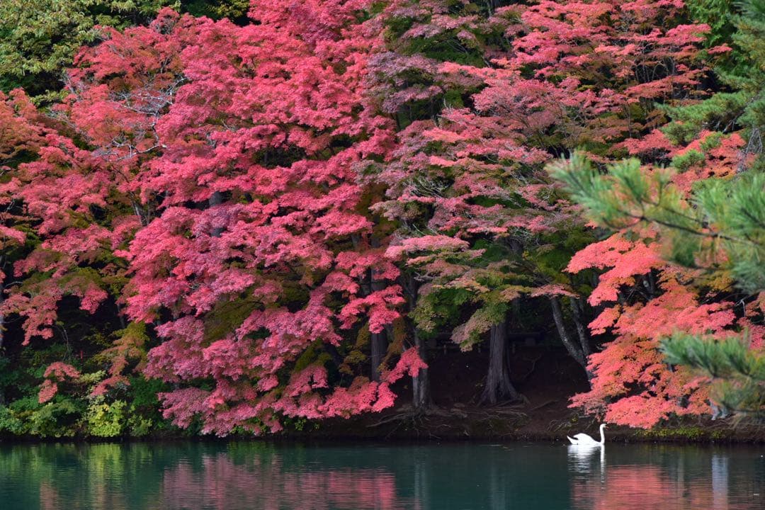 タイムセール【美品】Nikon D7200、AF-S NIKKOR 18-140