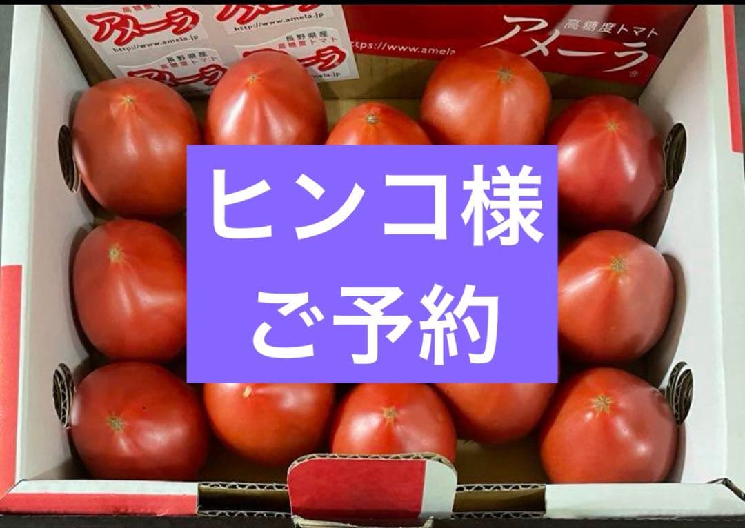 ヒンコ様 ご予約