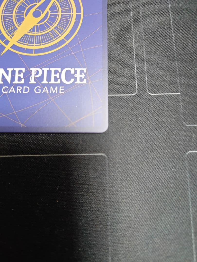 【訳アリ】ロロノア・ゾロ　パラレル