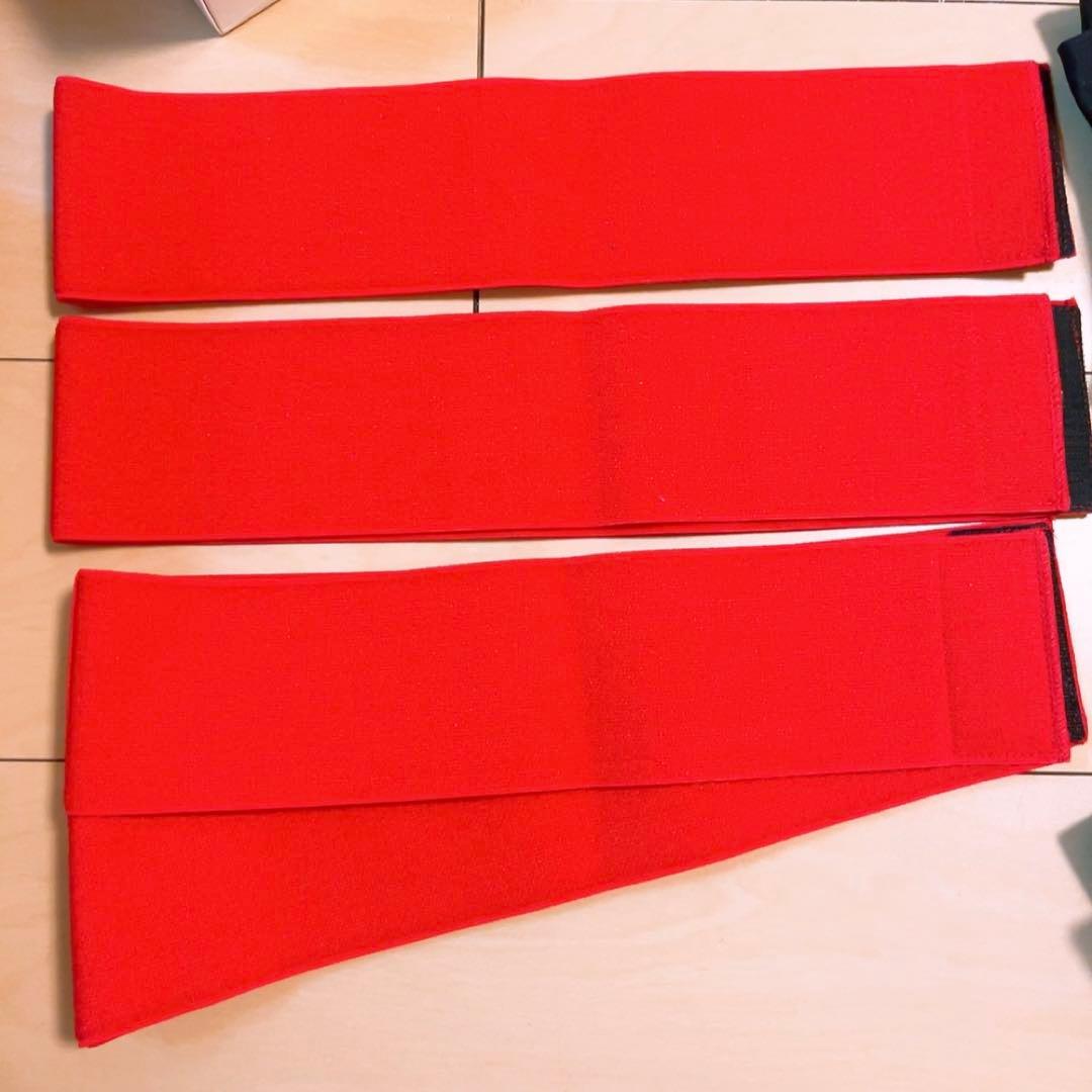 ☆状態良☆ フレキシア セルクリスタル 骨盤ヒップアップ グローブ 一式