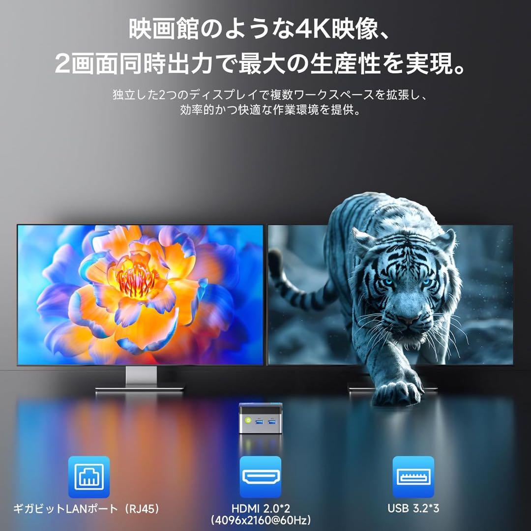 ミニPC GMKtec NucBox G5 12+256GB