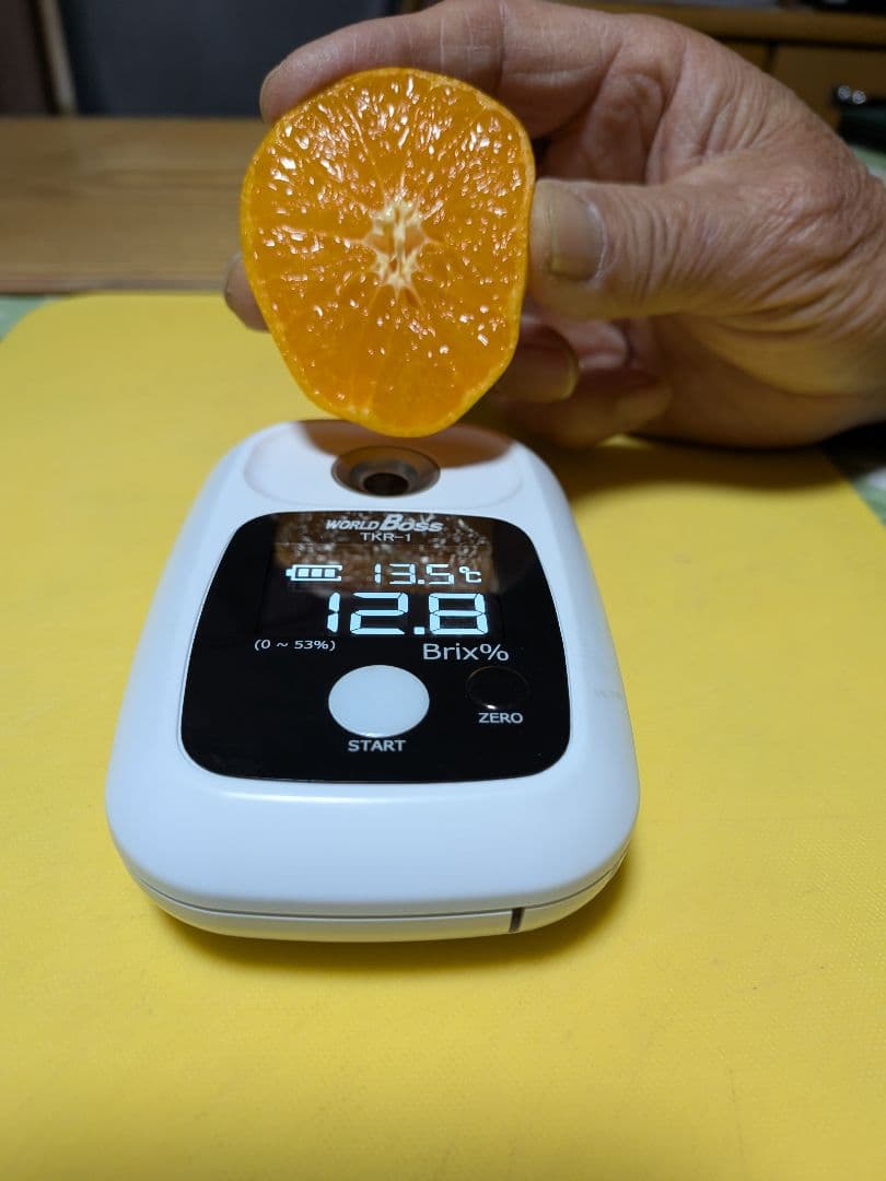 トオル　瀬戸田産　小粒たまみミカン＆レモン＆花柚子　箱込み15kg