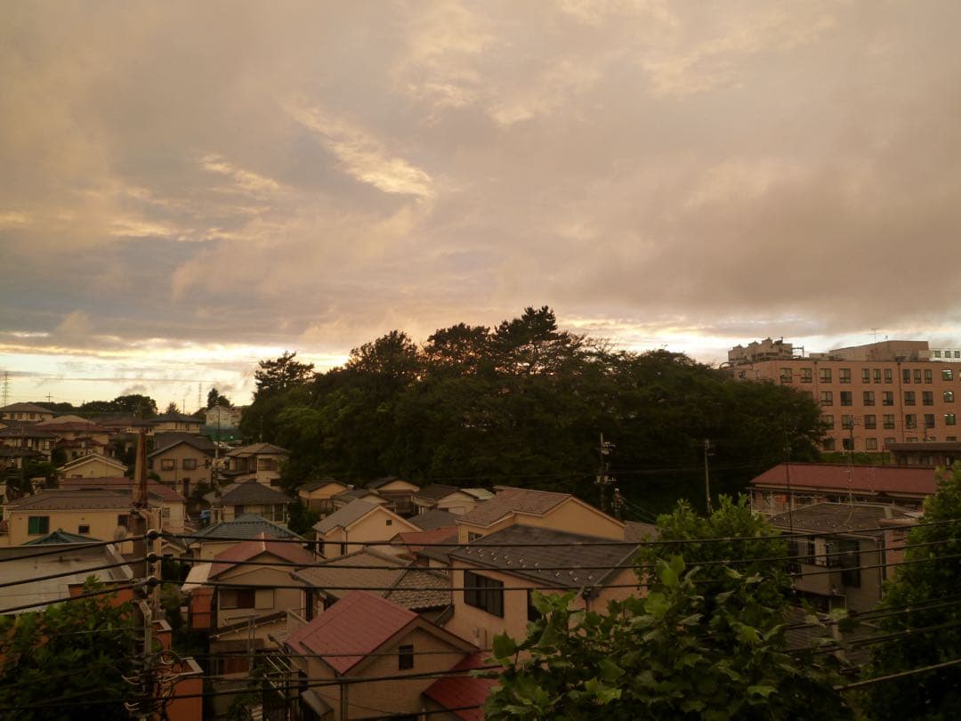 パナソニック LUMIX デジカメ DMC-FX60 動作確認済み 付属品多数