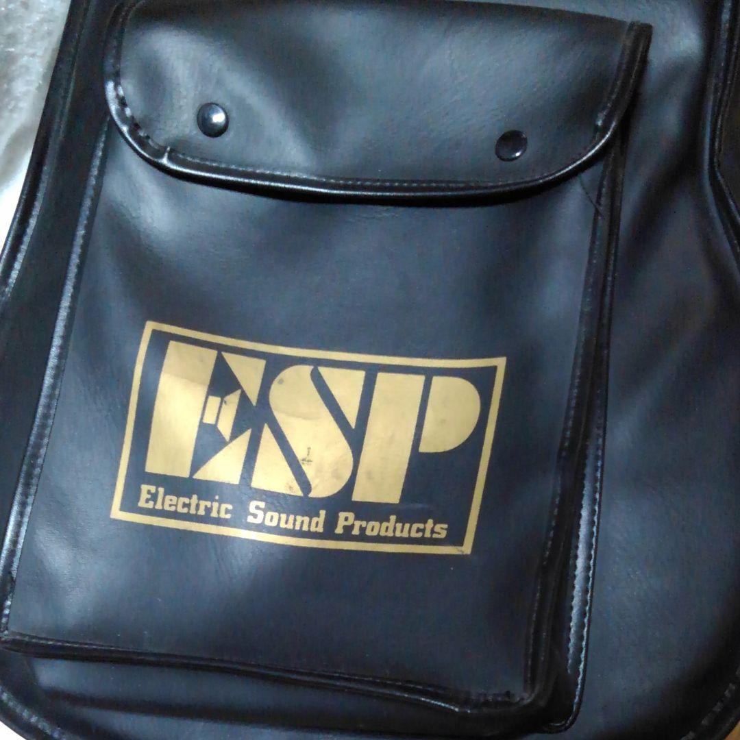 エレキ―ギタ―