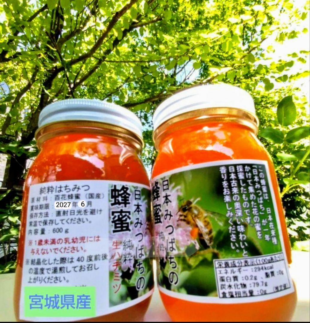 日本蜜蜂 生蜂蜜 ミツバチ 純粋 ニホンみつばち 非加熱 #6 宮城県産