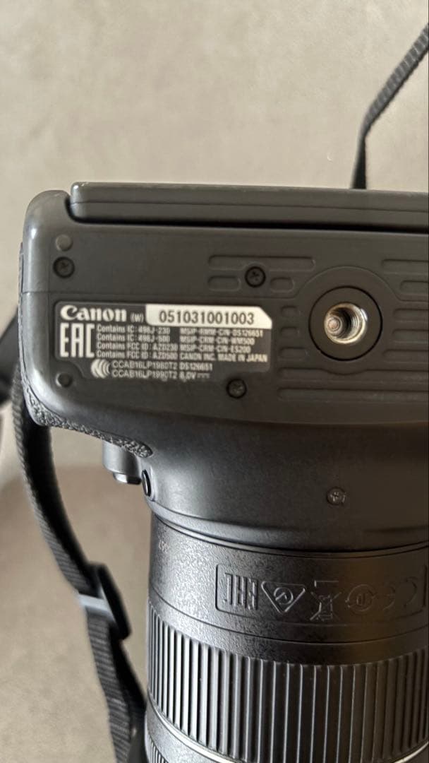 Canon EOS 9000D ダブルズームキット＋バッグ付き｜動作良好・美品