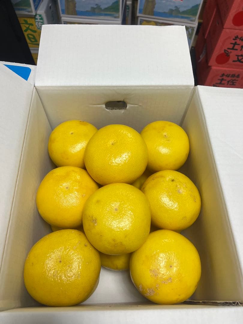 文旦　山北みかん　ポンカン　好きにも　03