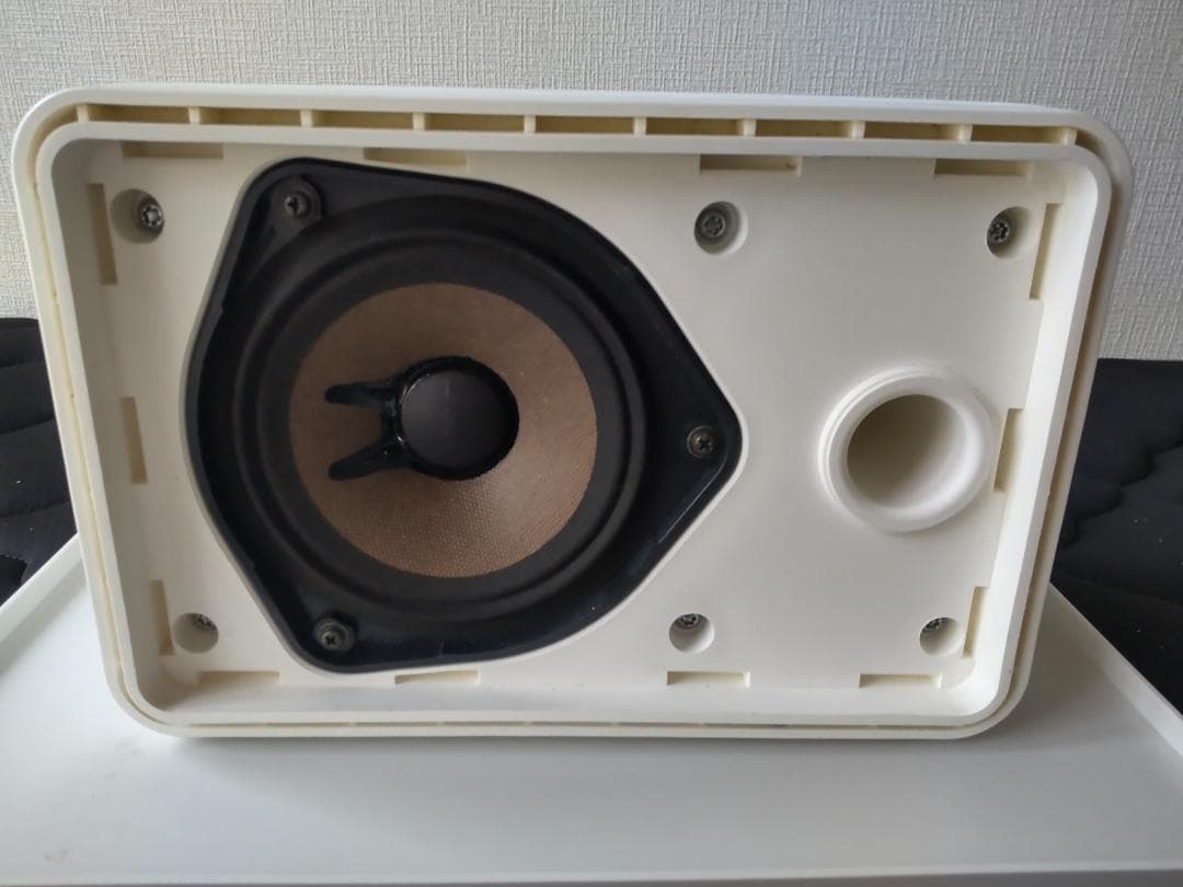 BOSE 101MMW スピーカーシステムペア