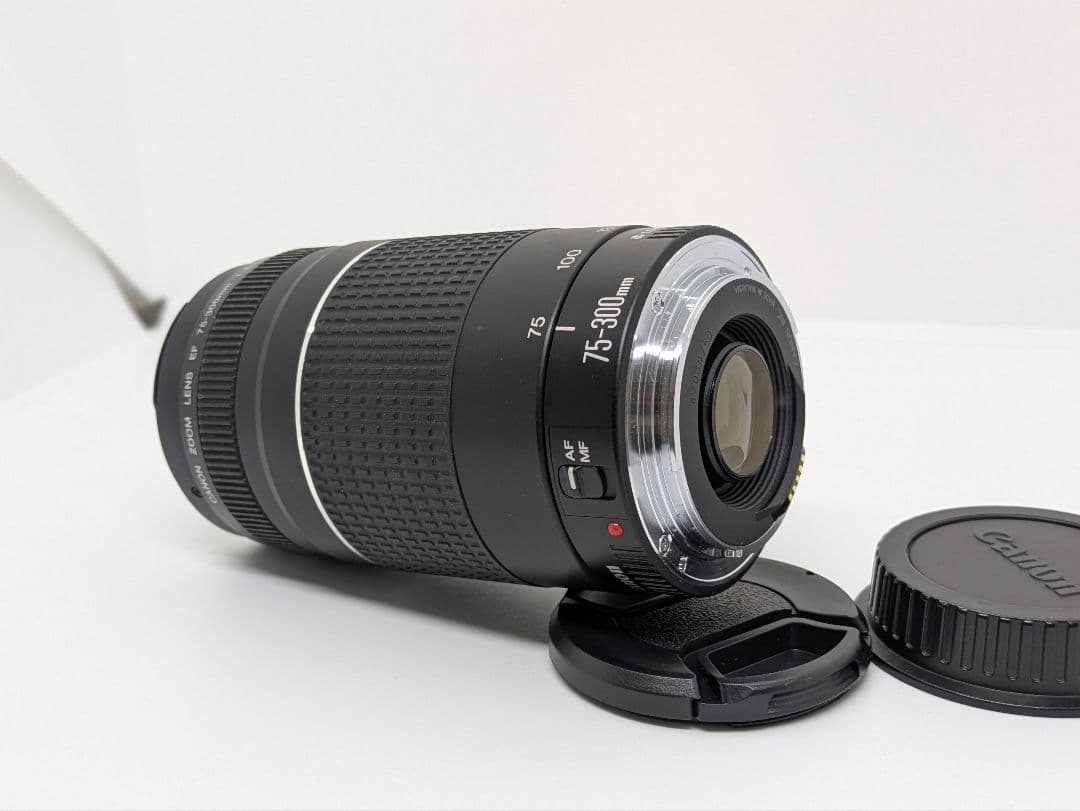 1月23日限定特別販売【超望遠レンズ】Canon EF 75-300mm Ⅲ
