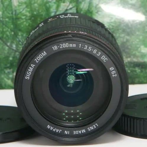 ❤近くから遠くまでこれ１本☆シグマ 18-200mm DC キャノン用❤