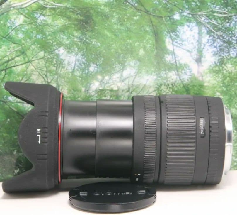 ❤近くから遠くまでこれ１本☆シグマ 18-200mm DC キャノン用❤
