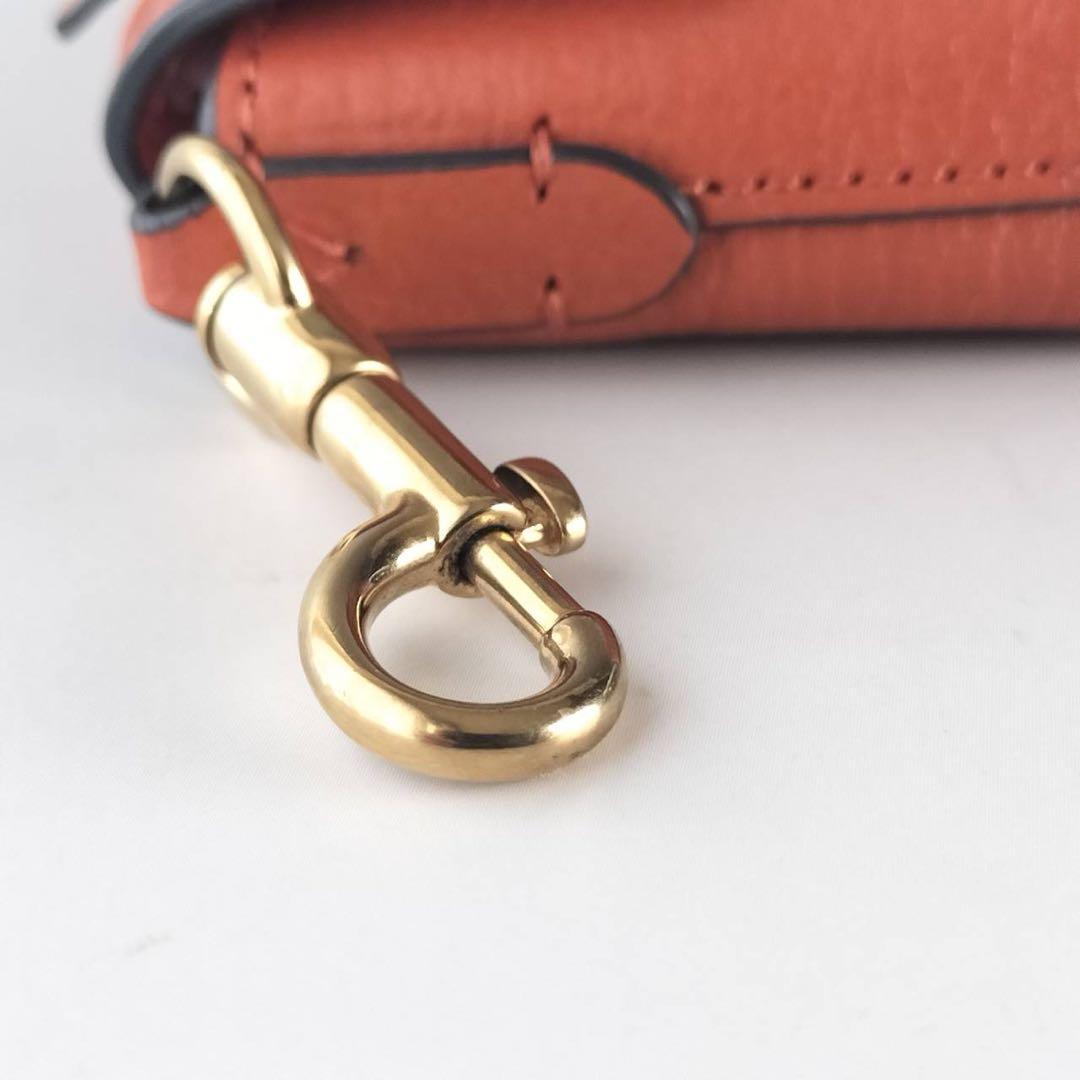 【美品】アニヤハインドマーチ イヤホンケース AirPods タイガー