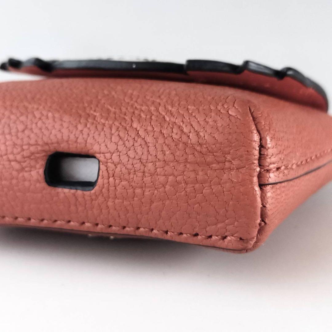 【美品】アニヤハインドマーチ イヤホンケース AirPods タイガー