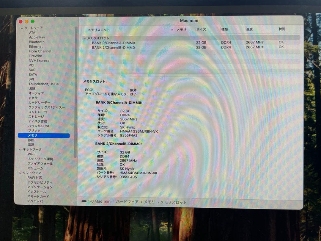 【中古】Apple Mac mini (2018)メモリ64GB