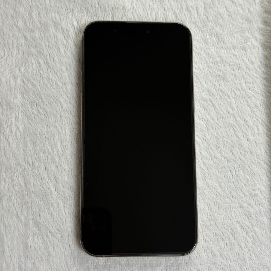 Apple iPhone 15 Pro Max 1TB チタニウム SIMフリー