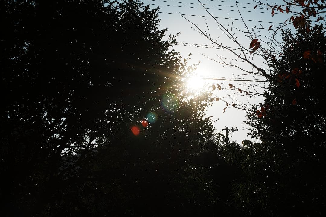 【整備＆テスト済】Nikon Ai Nikkor 50mm F1.4 277