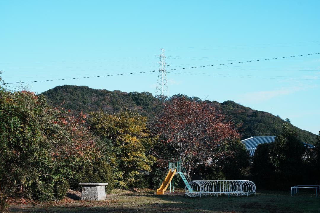 【整備＆テスト済】Nikon Ai Nikkor 50mm F1.4 277