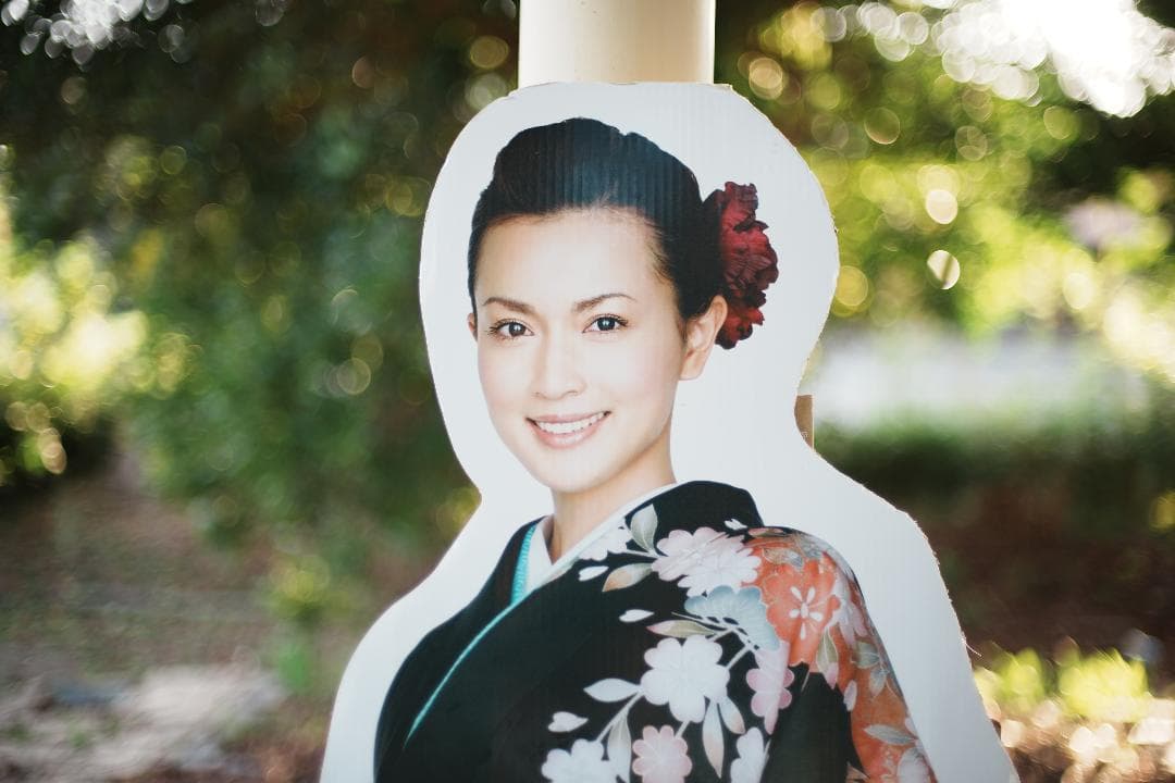 【整備＆テスト済】Nikon Ai Nikkor 50mm F1.4 277