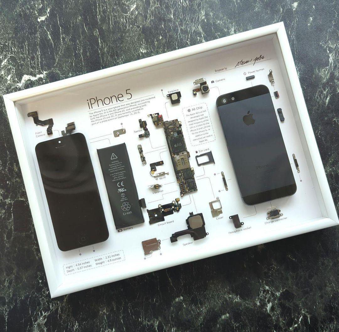 iPhone5 標本アート グレー