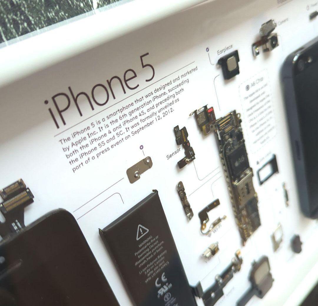 iPhone5 標本アート グレー