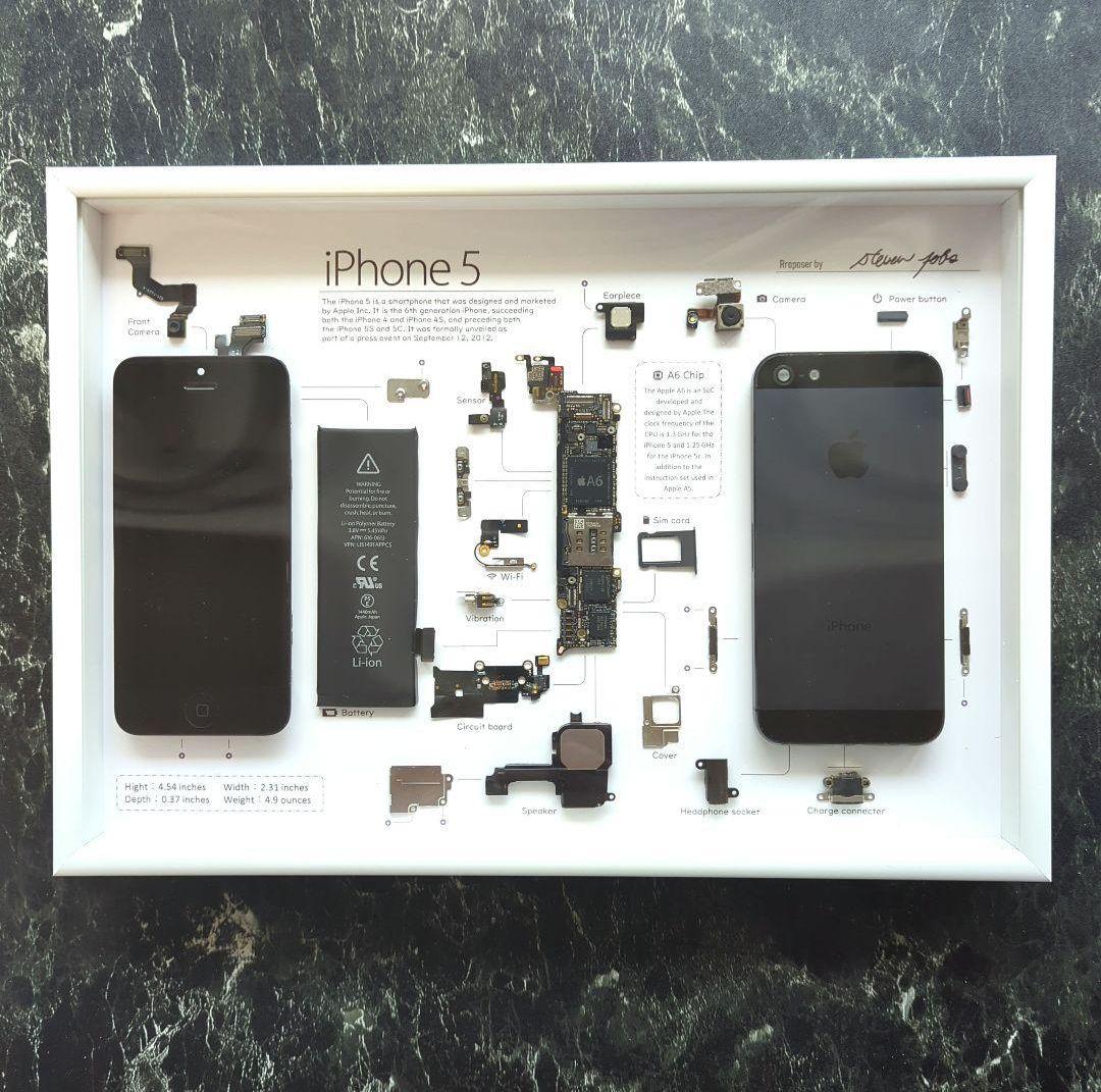 iPhone5 標本アート グレー