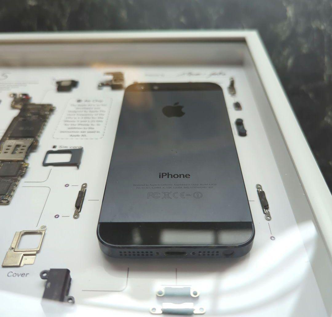 iPhone5 標本アート グレー