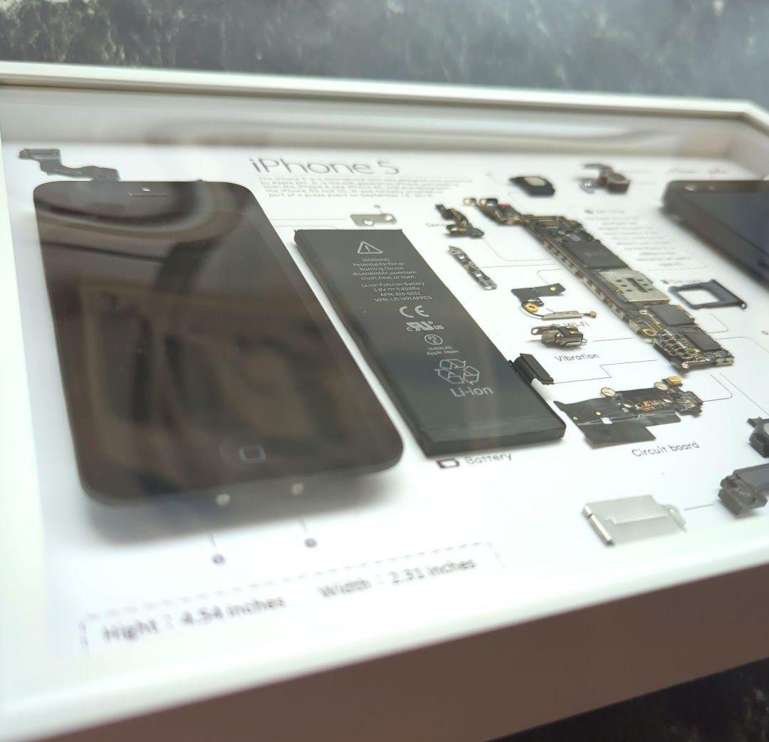 iPhone5 標本アート グレー