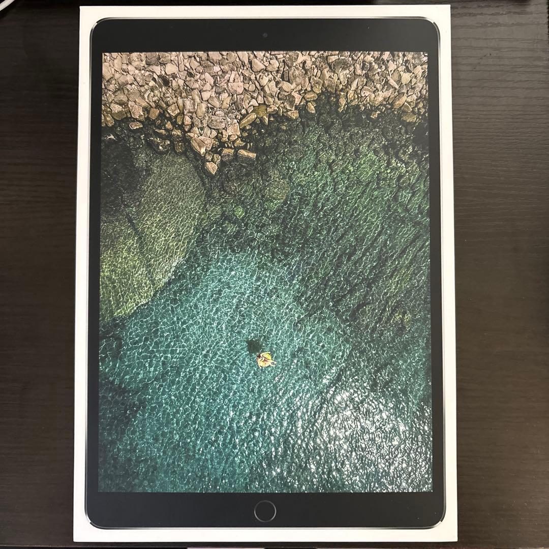 iPad本体 iPad Pro 10.5 64GB Wi-Fi