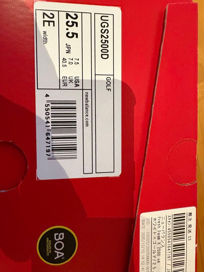 2025年ニューバランスFresh Foam X 2500 v4 BOA 2E