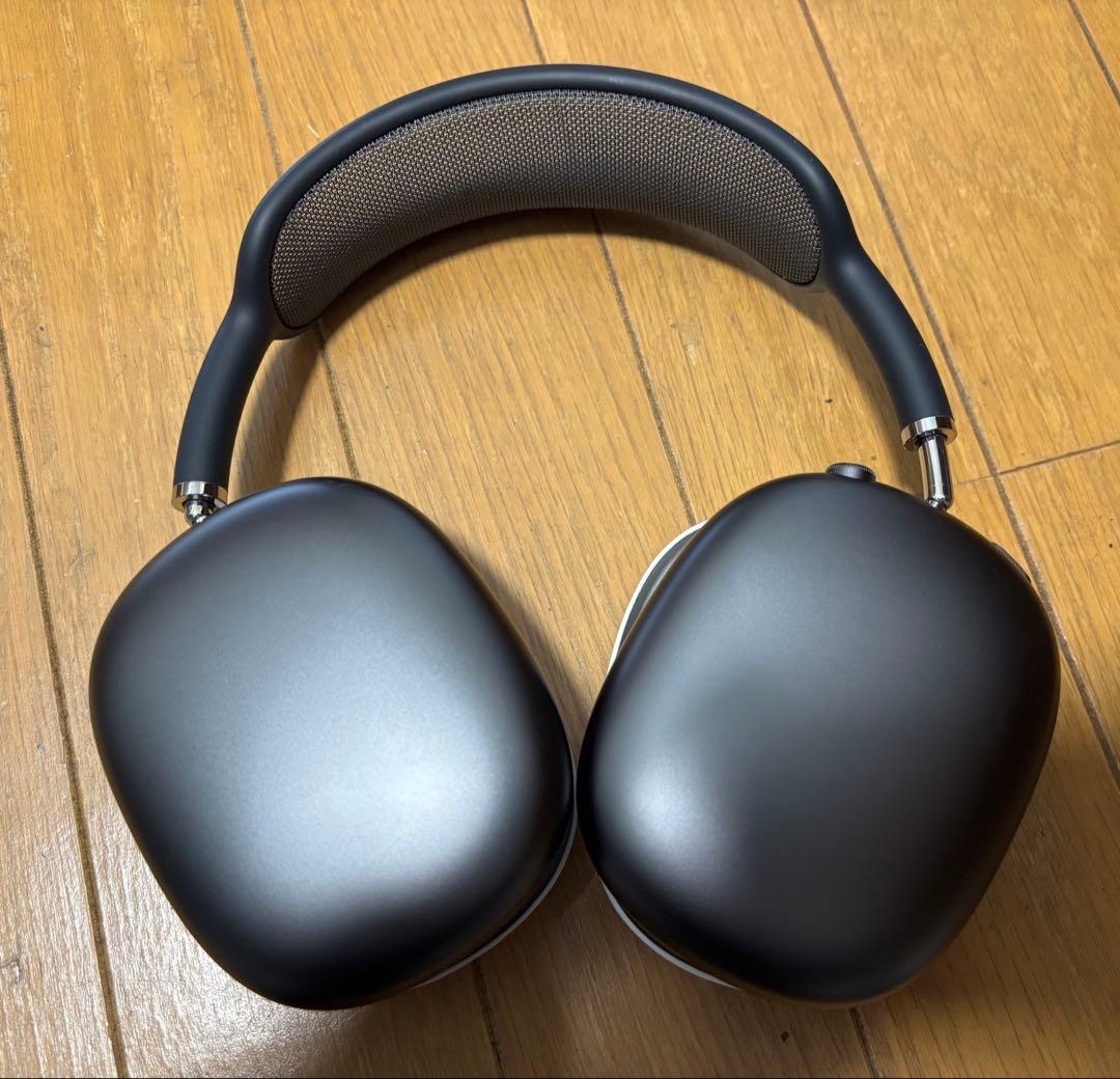 AirPods Max Space Gary (ライトニング)