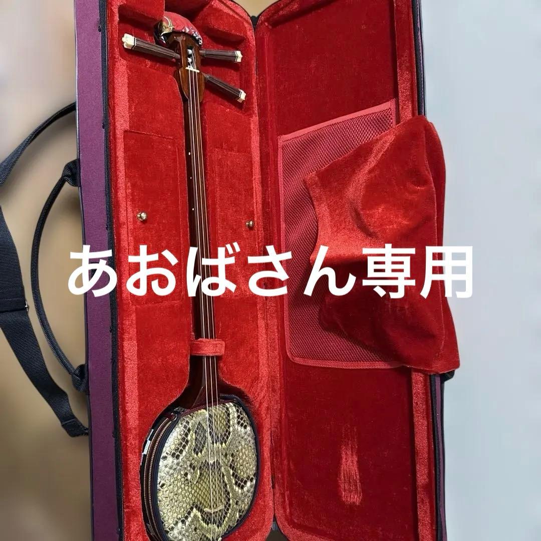 沖縄　三線　弦楽器　ソフトケース付き　リュックタイプ