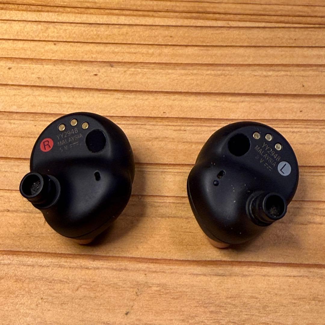 WF-1000XM4 LRイヤホン のみ