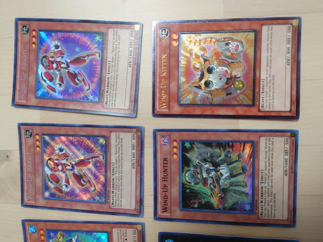 ゼンマイ　英語