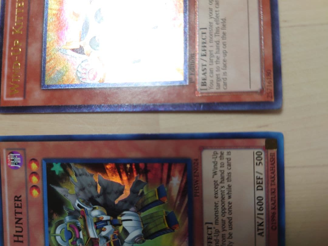 ゼンマイ　英語