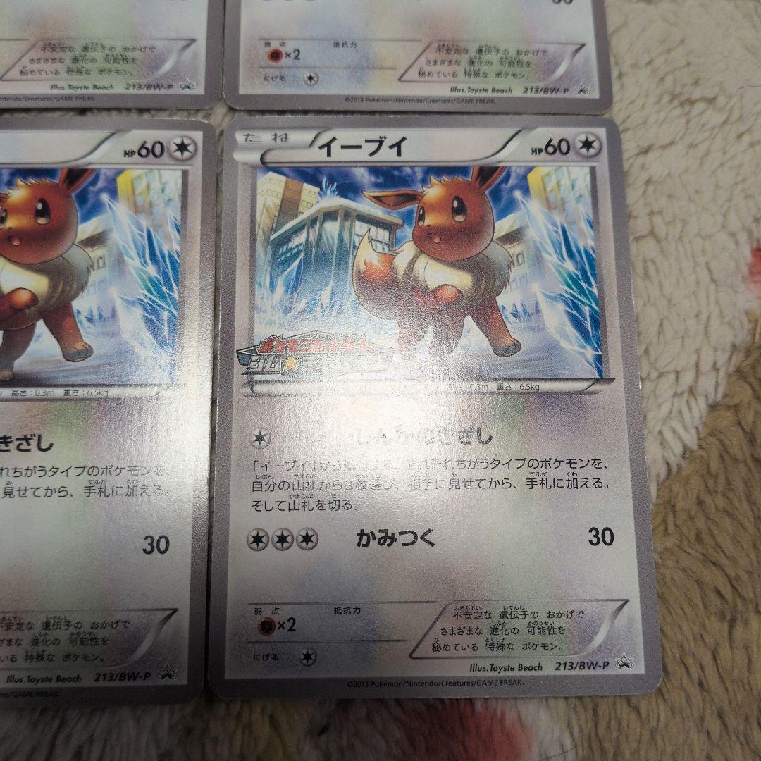 イーブイ　ジムチャレンジ　プロモ　213/bw-p