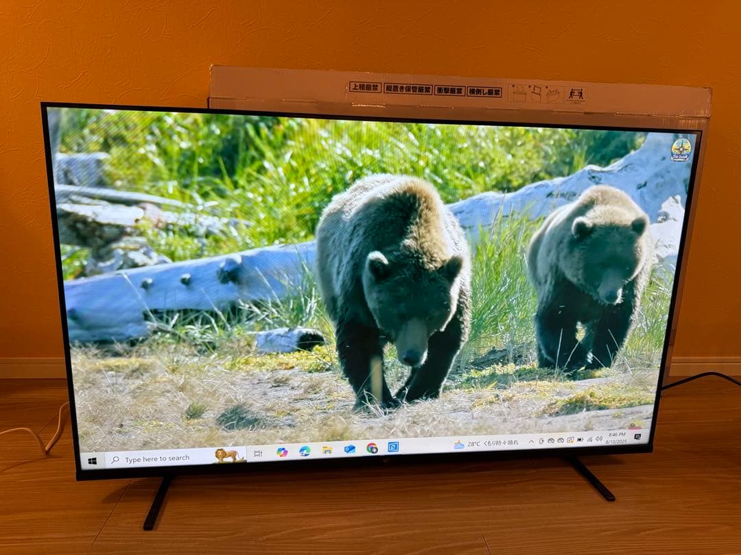 極美品　Google TV 50V型 4K チューナーレステレビ 2024年製