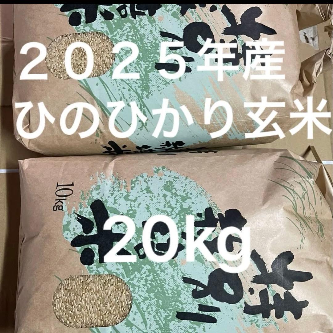 2025年産ヒノヒカリ玄米20ｋｇ 【送料無料】