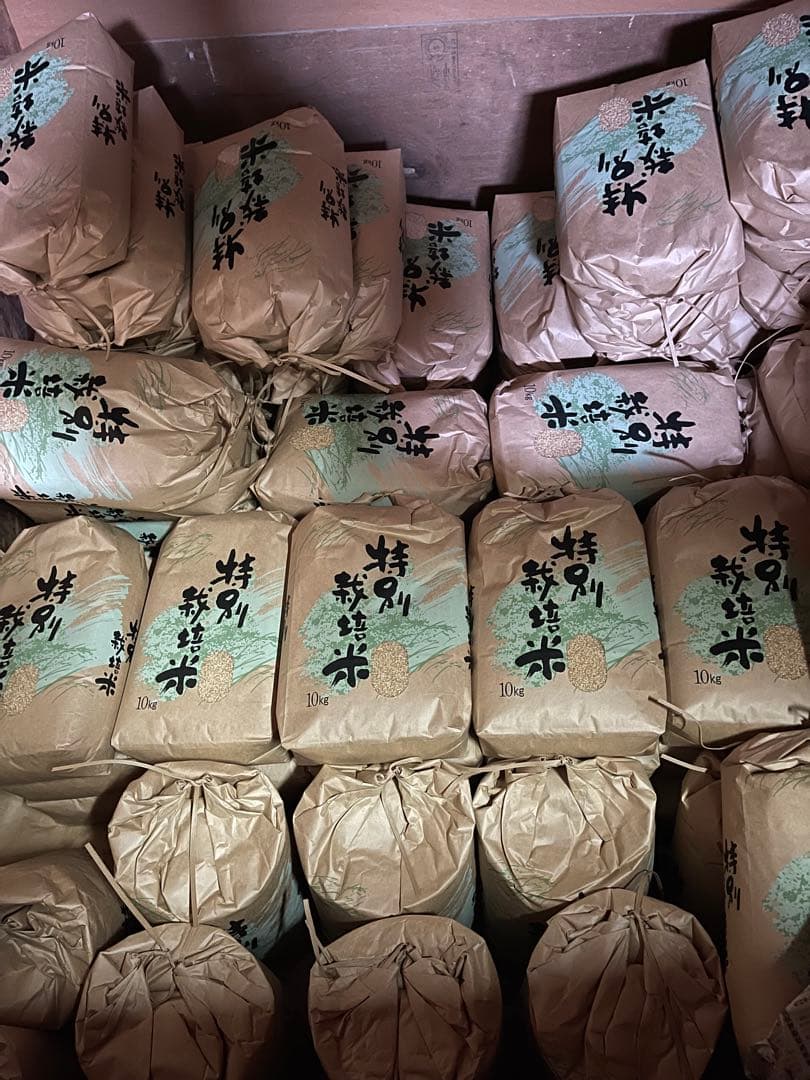 2025年産ヒノヒカリ玄米20ｋｇ 【送料無料】