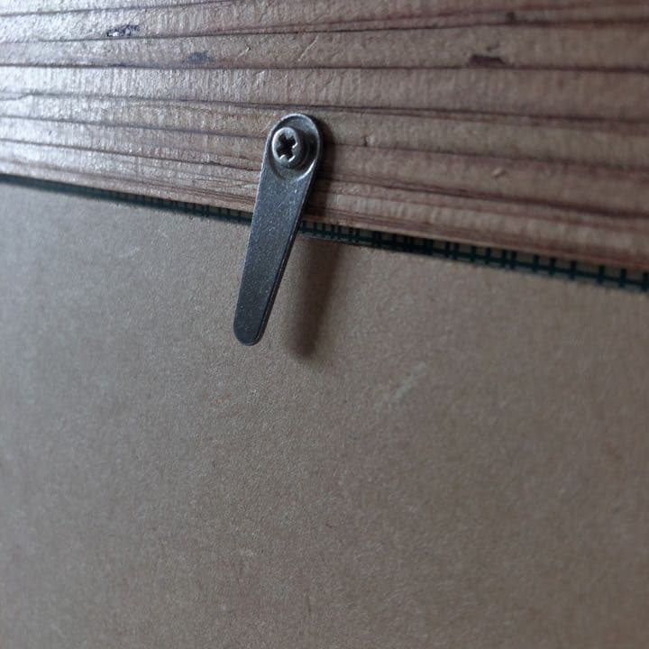 《Nick Kuchar 》ニック・カッチャー ANAオリジナル　ハワイ