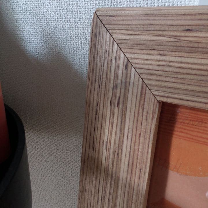 《Nick Kuchar 》ニック・カッチャー ANAオリジナル　ハワイ