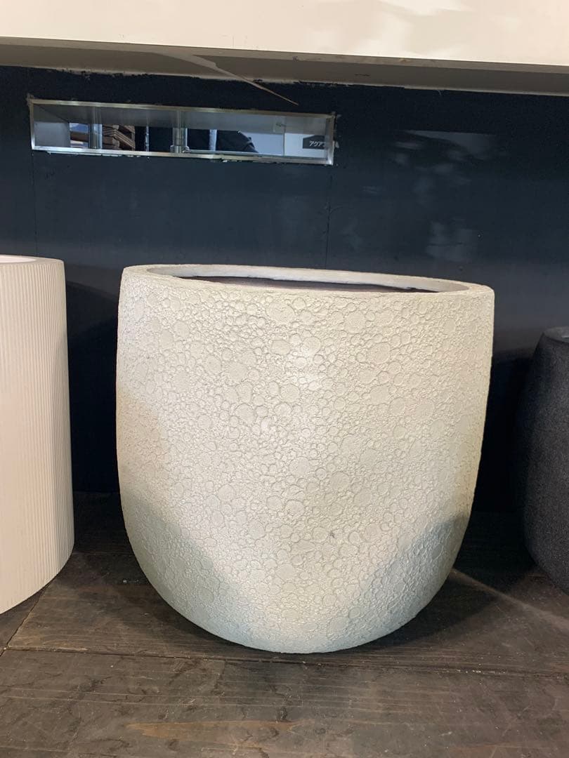 特大 アレカヤシ 10号　ファイバー鉢　お皿付き