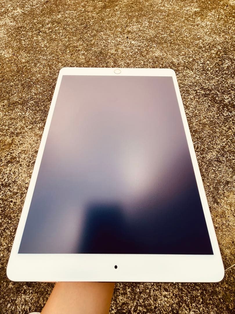 m*e様 iPad Pro 10.5インチ 256GB