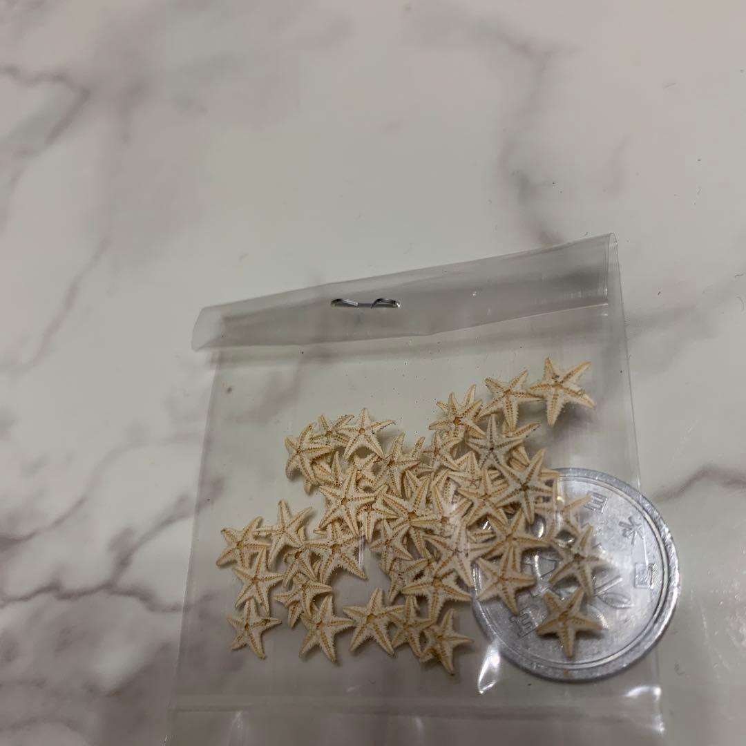 星　ヒトデ　海　天然素材　ミニヒトデ　小さいヒトデ　小さい貝殻　レジン　アート