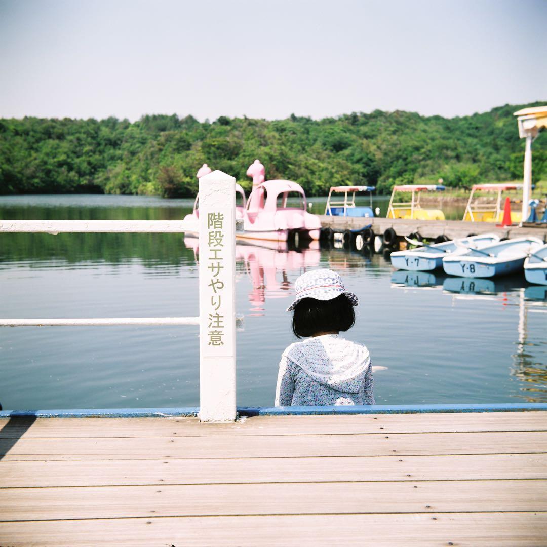 【整備済】ALPEN FLEX アルペンフレックス 二眼レフ