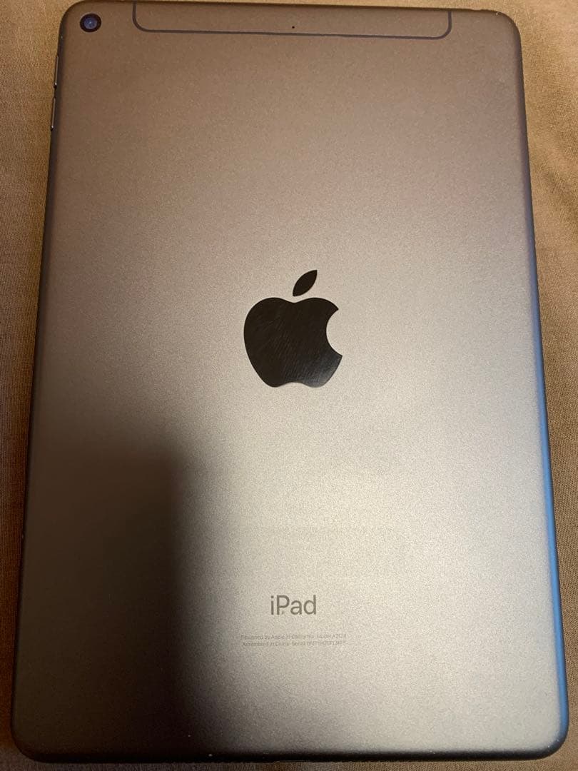 本日限定　iPad mini 5 Apple Pencil付き　64GB