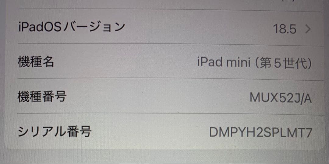 本日限定　iPad mini 5 Apple Pencil付き　64GB